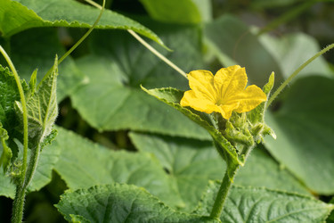 Similar image 22198169