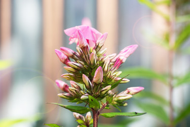 Similar image 22198170