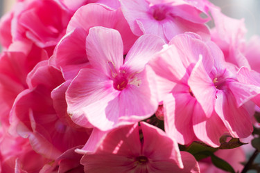 Similar image 22198171