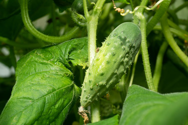 Similar image 22198172