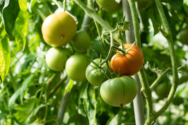 Similar image 22198173