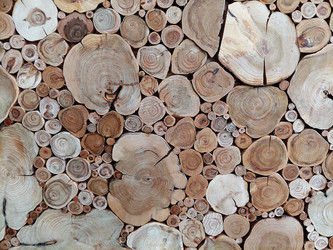 Similar image 22198175