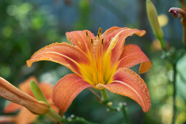 Similar image 22198176