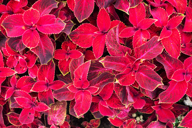 Similar image 22198177