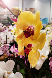 Similar image 22198178