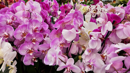 Similar image 22198179