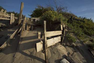 Similar image 22198410