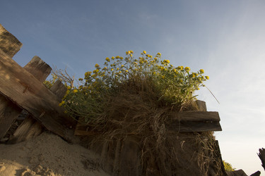 Similar image 22198411