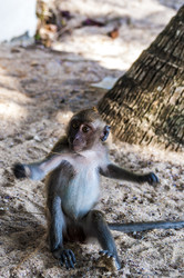 Similar image 22198181