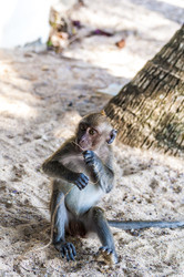 Similar image 22198182