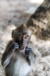 Similar image 22198184