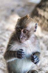 Similar image 22198185