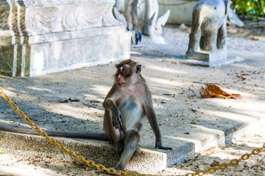 Similar image 22198186