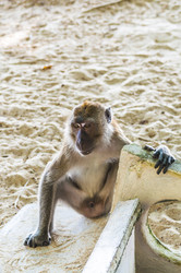 Similar image 22198187