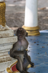 Similar image 22198192