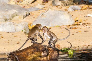 Similar image 22198198