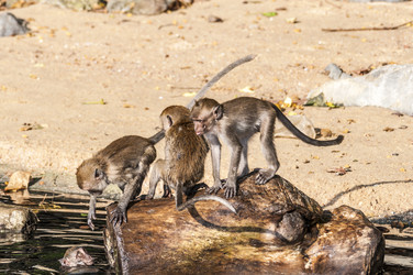 Similar image 22198200