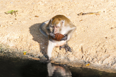 Similar image 22198202