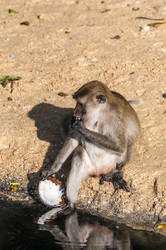 Similar image 22198204