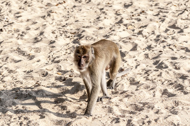 Similar image 22198205