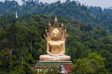 Similar image 22198206