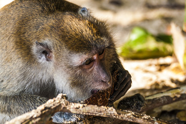 Similar image 22198207