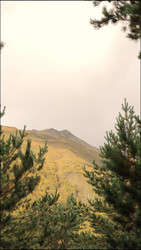 Similar image 22205466