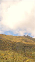 Similar image 22205468