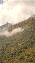 Similar image 22205469