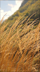 Similar image 22205472