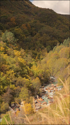 Similar image 22205474