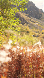 Similar image 22205476