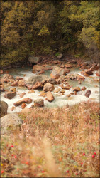 Similar image 22205481