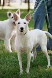 Similar image 22205484