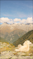 Similar image 22205488