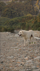 Similar image 22205491