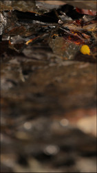 Similar image 22205493