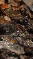 Similar image 22205494