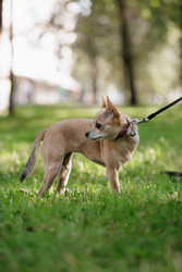 Similar image 22205496