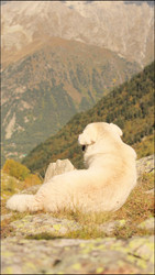 Similar image 22207770