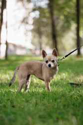 Similar image 22207771