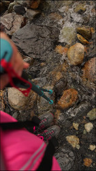 Similar image 22207773