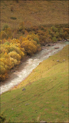 Similar image 22207776