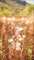 Similar image 22207778