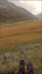 Similar image 22208245