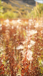 Similar image 22208246