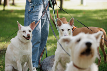 Similar image 22208247