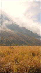 Similar image 22208249