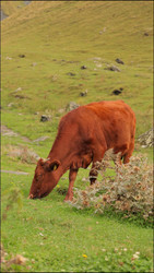 Similar image 22208250