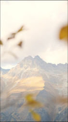 Similar image 22208251